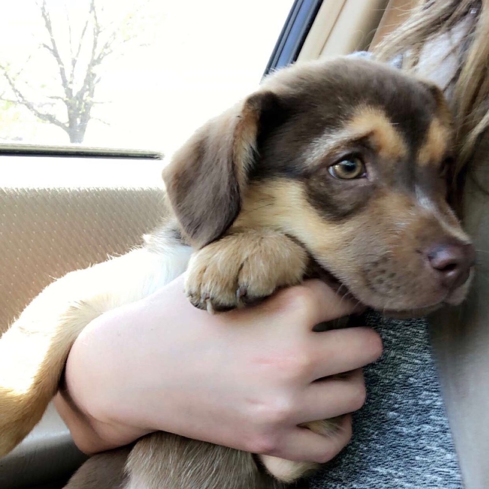 Meet your Posher, Sarah